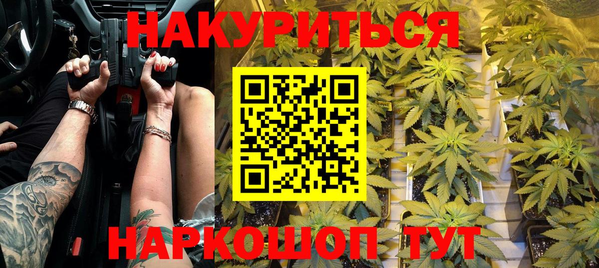 Канабис семена  МАРИХУАНА MAZAR  Ижевск  Марихуана гибрид  Вход с VPN 